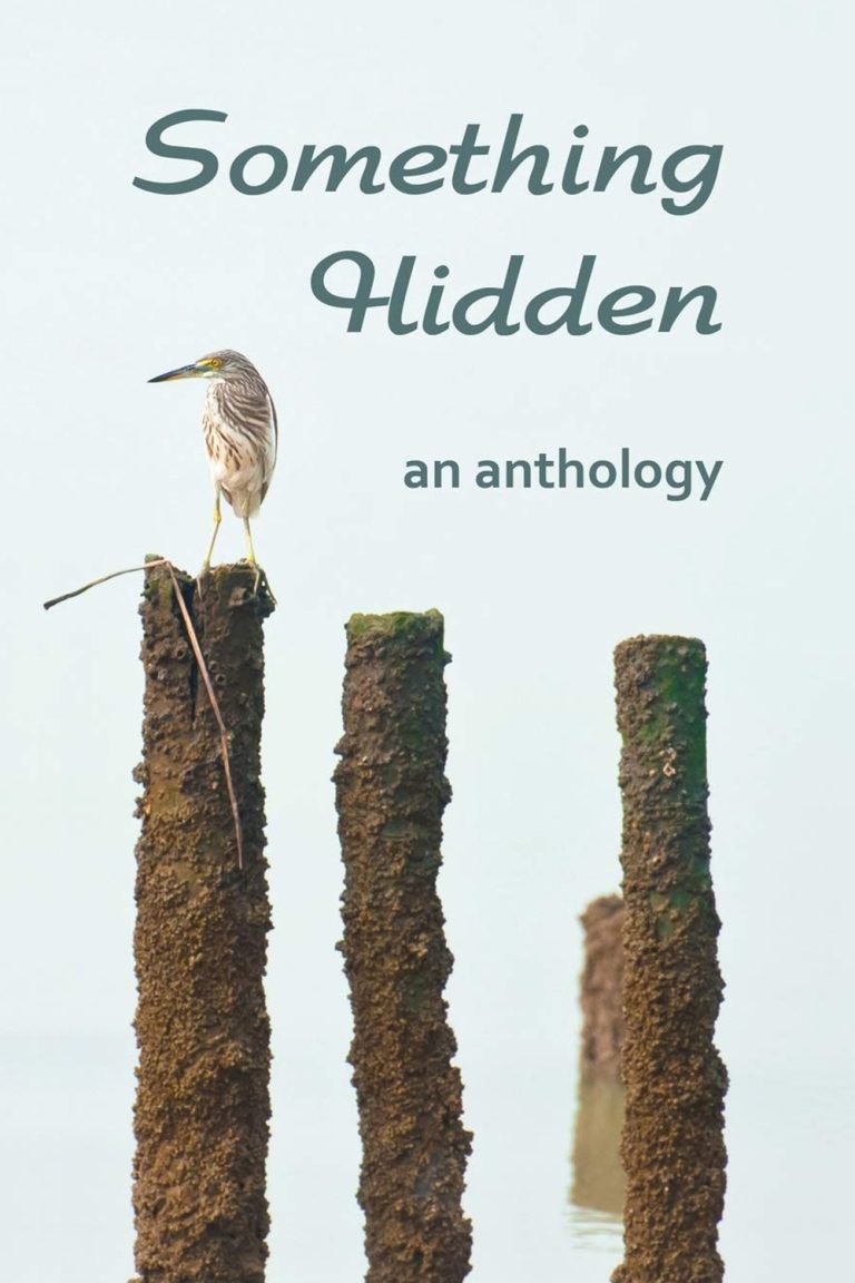 Book Cover Something Hidden